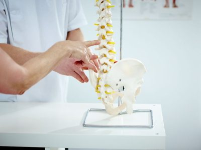 Closeup of chiropractor explains patient using plastic model of spine structure and hip bone in medical room